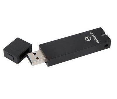 32GB Basic D250 USB 2.0 Online Hot Sale