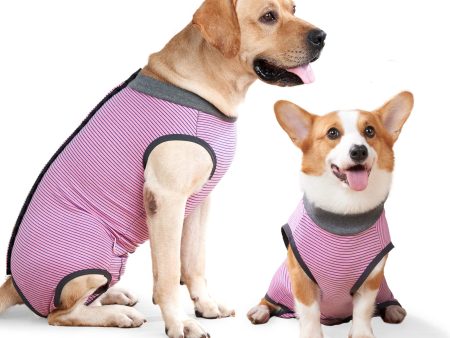 Talla: XXL - Traje de Recuperación Quirúrgica para Perros con Diseño Multifuncional y Alternativa al Collar Isabelino Reacondicionado Online now