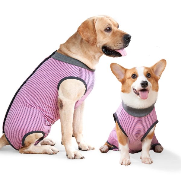 Talla: XXL - Traje de Recuperación Quirúrgica para Perros con Diseño Multifuncional y Alternativa al Collar Isabelino Reacondicionado Online now