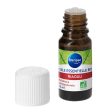 Aceite esencial de Niaouli Bio Steripan - Puro y Natural - Certificado Agricultura Ecológica - Bienestar - 10 ml Embalaje Deteriorado (Cad: 30 06 2026) on Sale