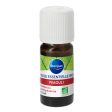 Aceite esencial de Niaouli Bio Steripan - Puro y Natural - Certificado Agricultura Ecológica - Bienestar - 10 ml Embalaje Deteriorado (Cad: 30 06 2026) on Sale